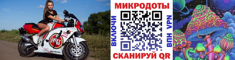 Галлюциногенные грибы ЛСД  где купить наркоту  kraken   Сясьстрой 