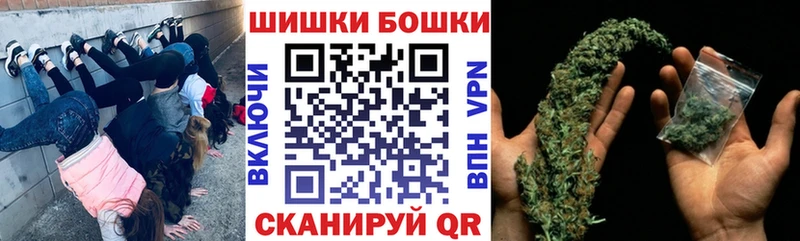 как найти наркотики  hydra зеркало  Шишки марихуана гибрид  Сясьстрой 
